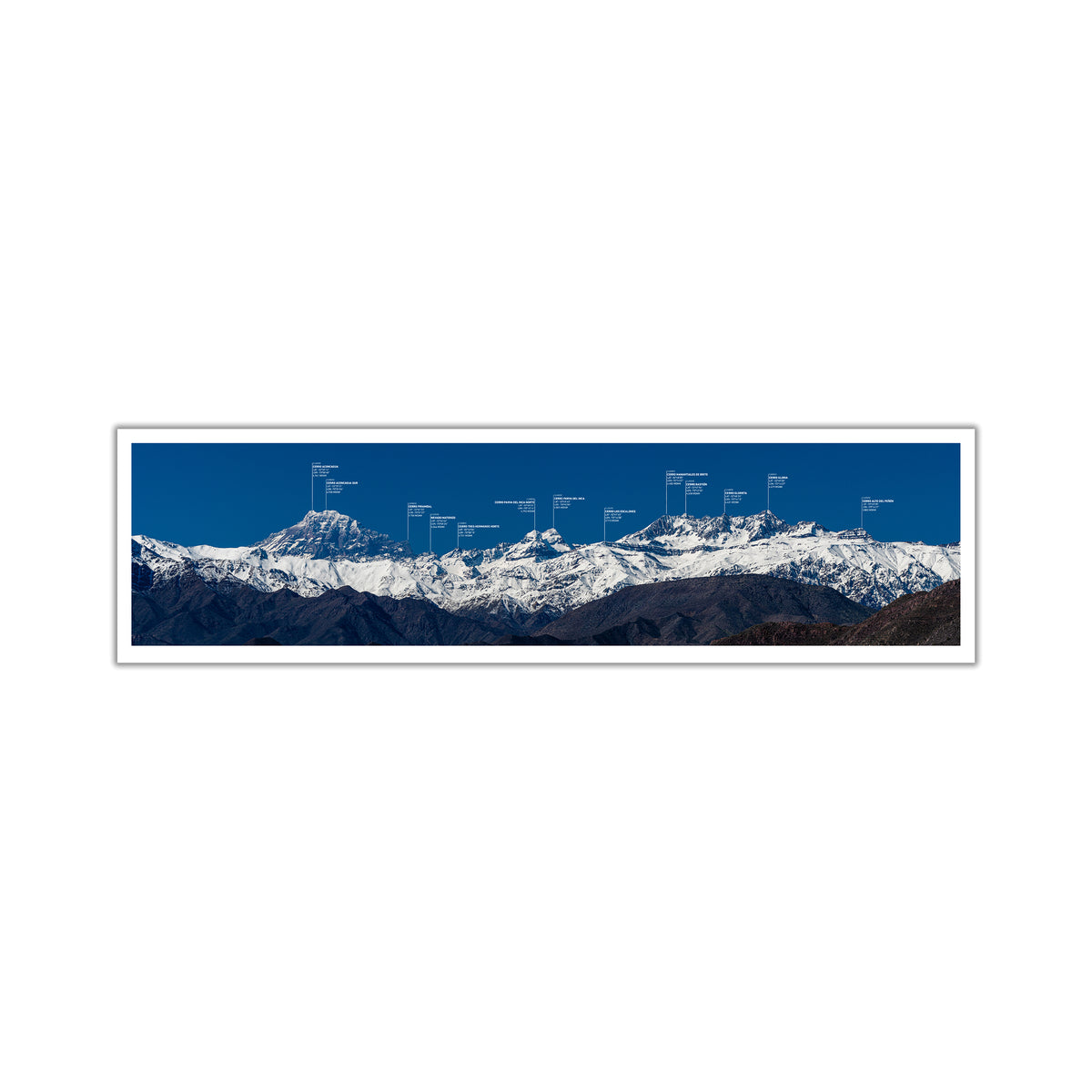 no-repeat center / cover url('https://cdn.shopify.com/s/files/1/0297/4914/9755/files/Artboard_1.png?v=1744315797')