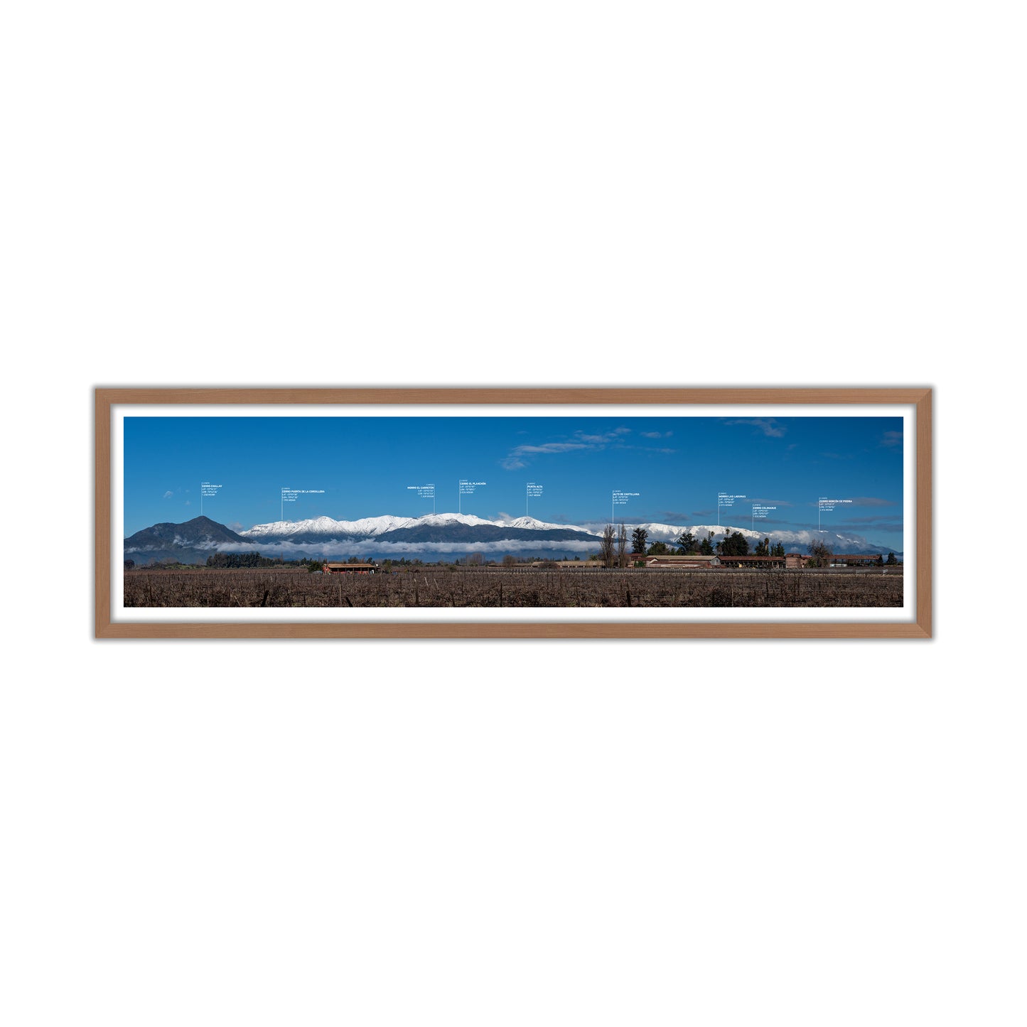 no-repeat center / cover url('https://cdn.shopify.com/s/files/1/0297/4914/9755/files/Artboard_2.png?v=1744315797')