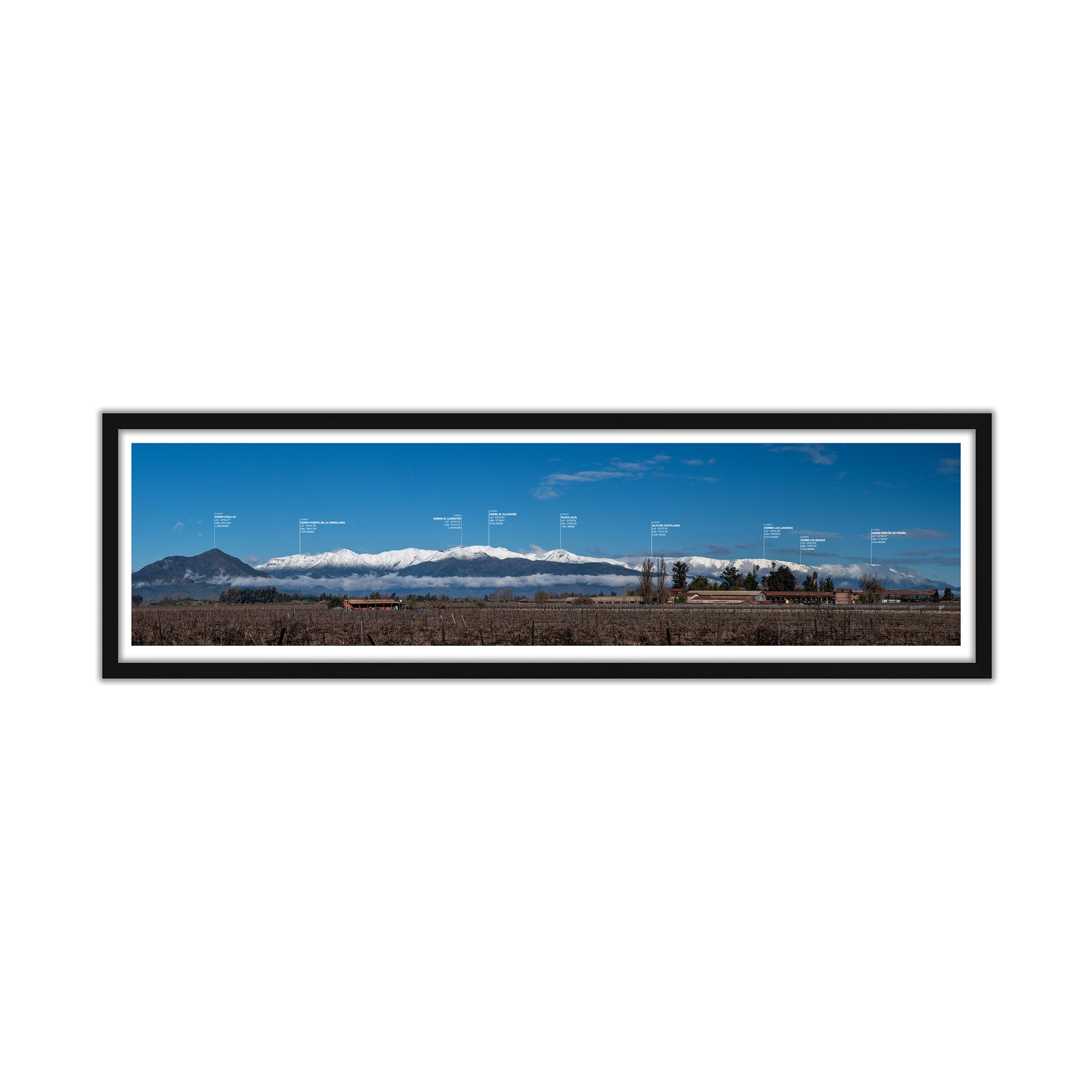 no-repeat center / cover url('https://cdn.shopify.com/s/files/1/0297/4914/9755/files/Artboard_3.png?v=1744315797')