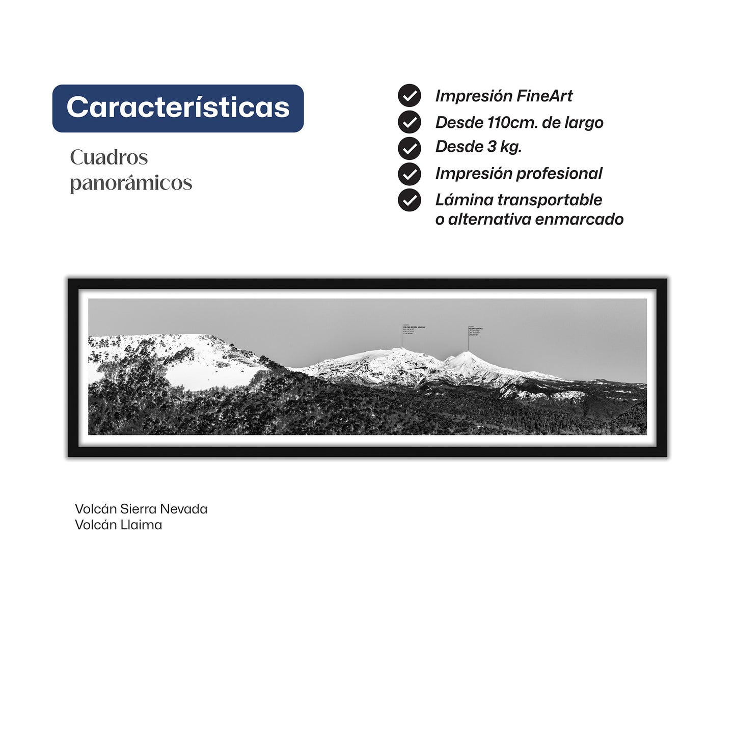 Entre araucarias