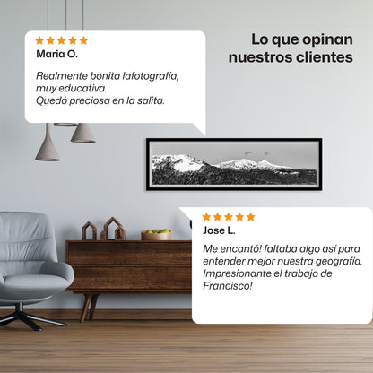 Entre araucarias