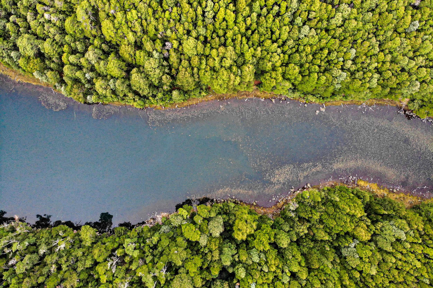 Laguna del Medio