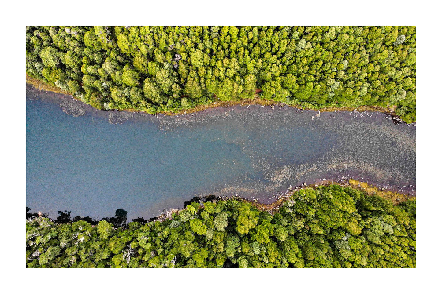 Laguna del Medio