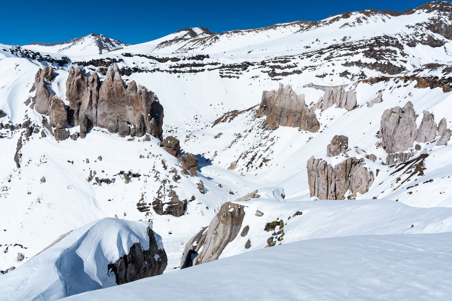 Monjes Blanco