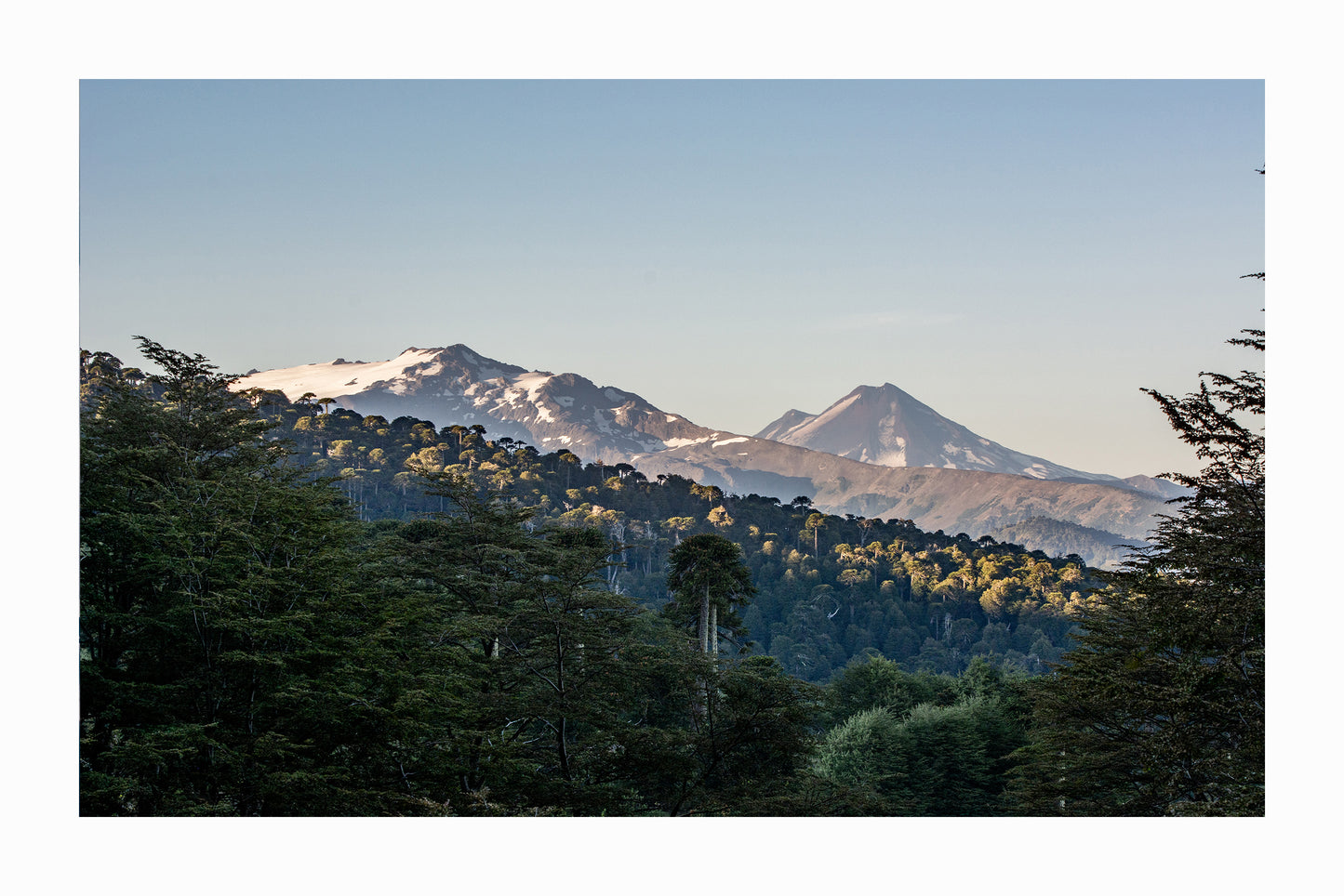 Llaima desde Las Raices