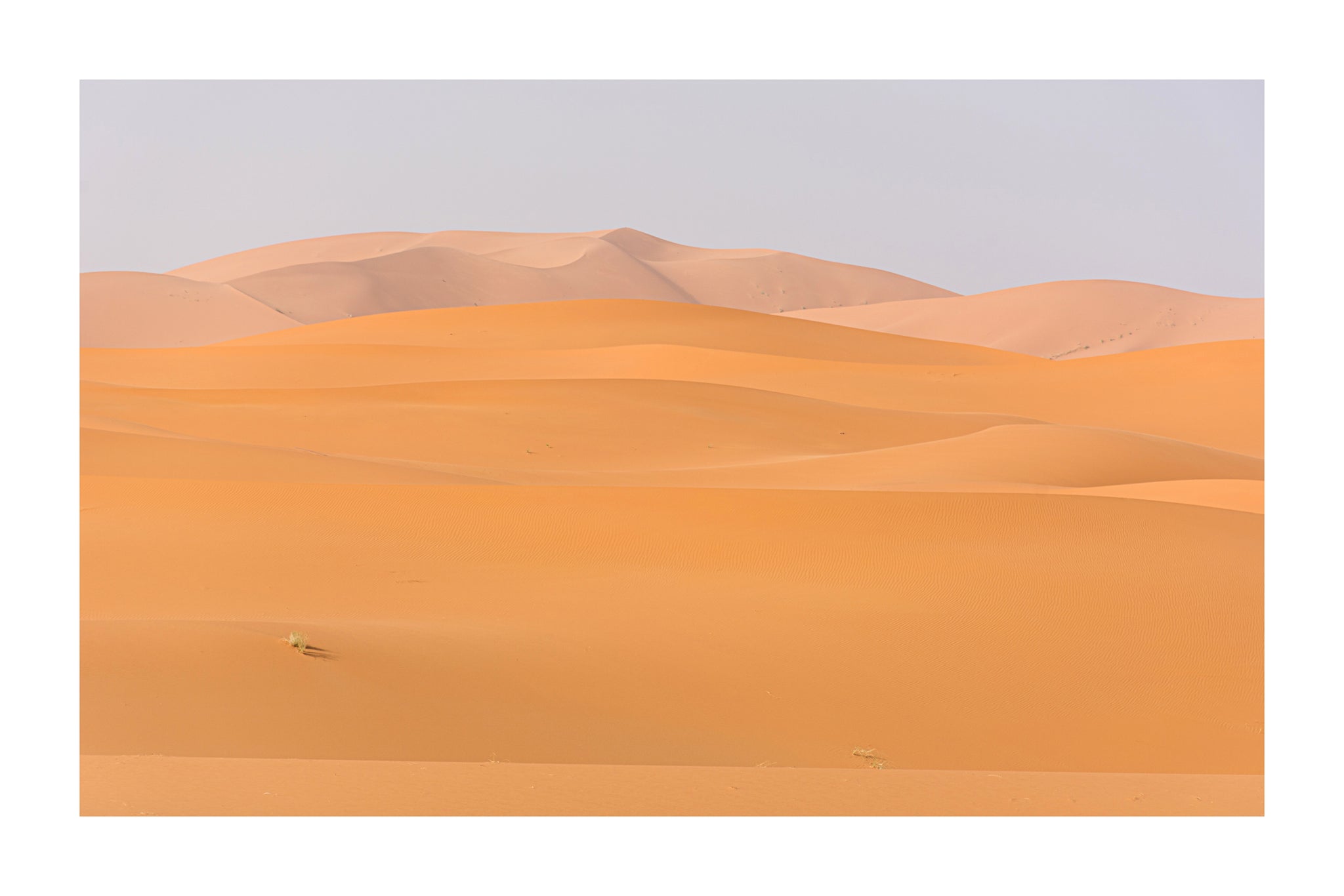 MAR - Sahara Dorado
