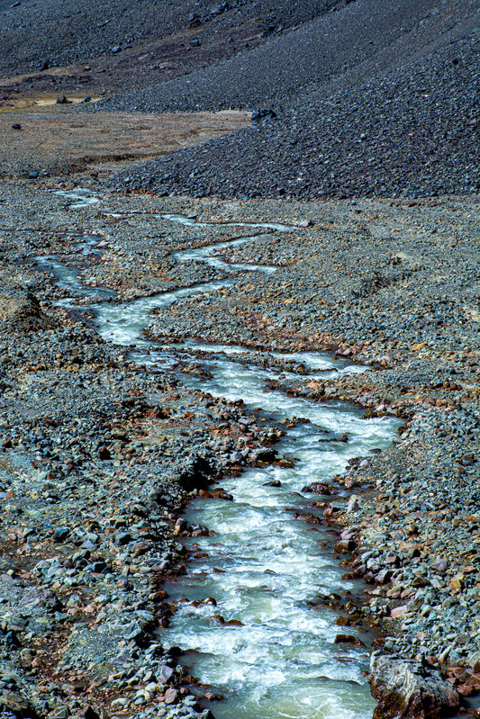 V. Nacimiento de Yerba Loca