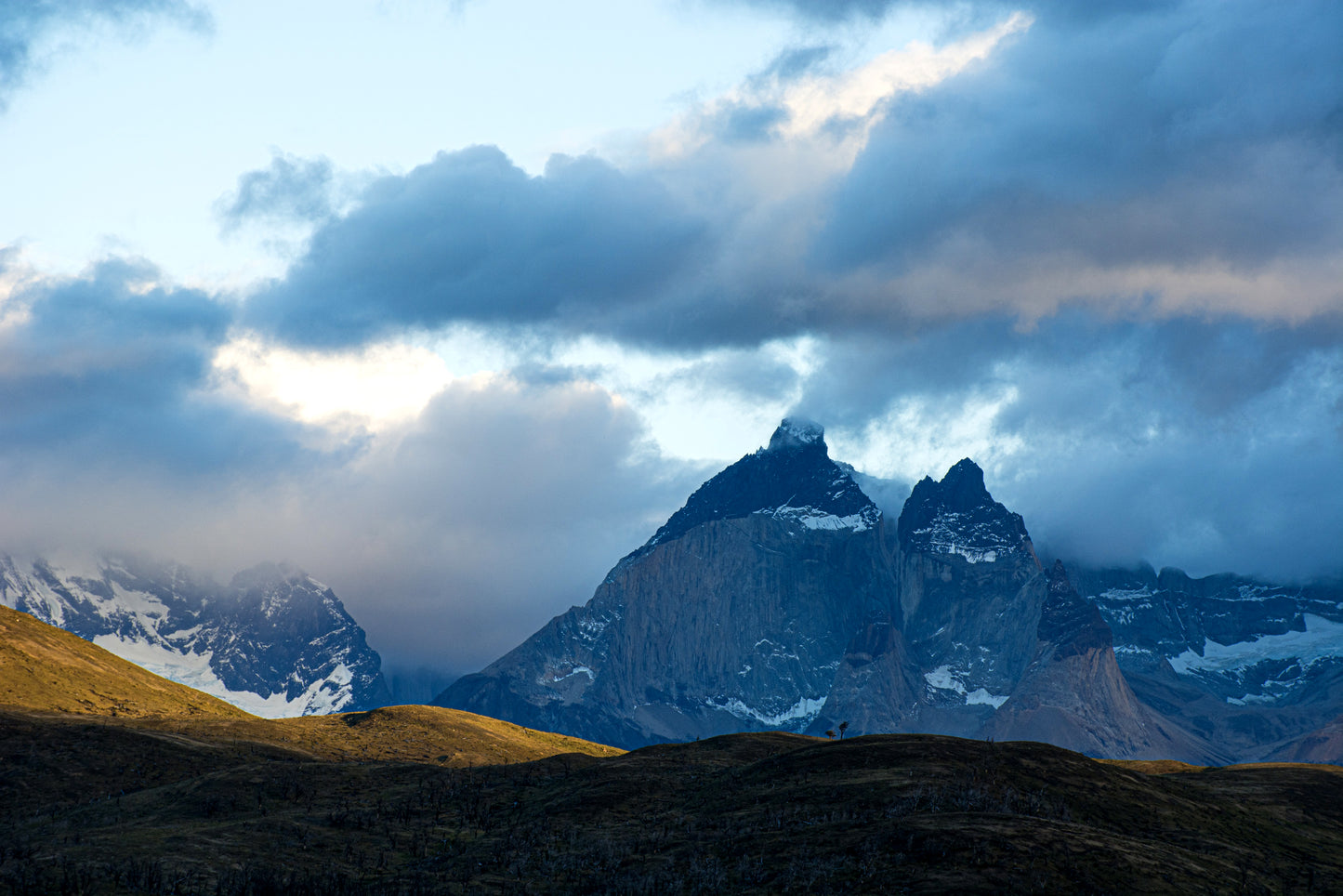 Cuernos al amanecer