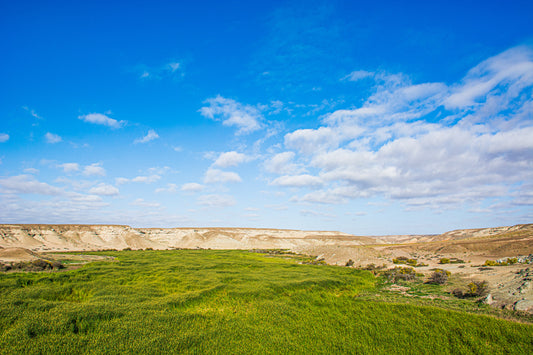 Verde Norte