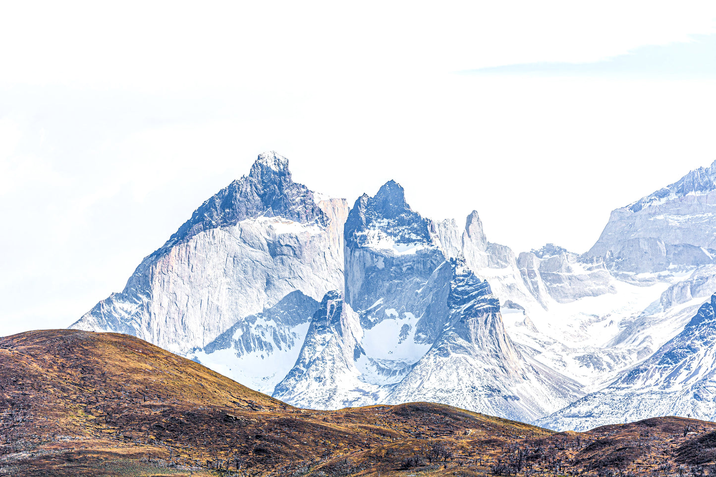 Cuernos del Paine desde Estancia Lazo