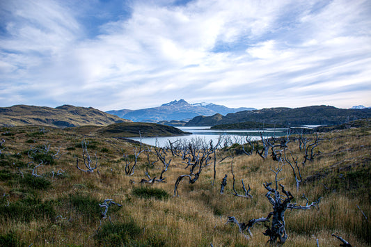 Parque Nacional Torres del Paine