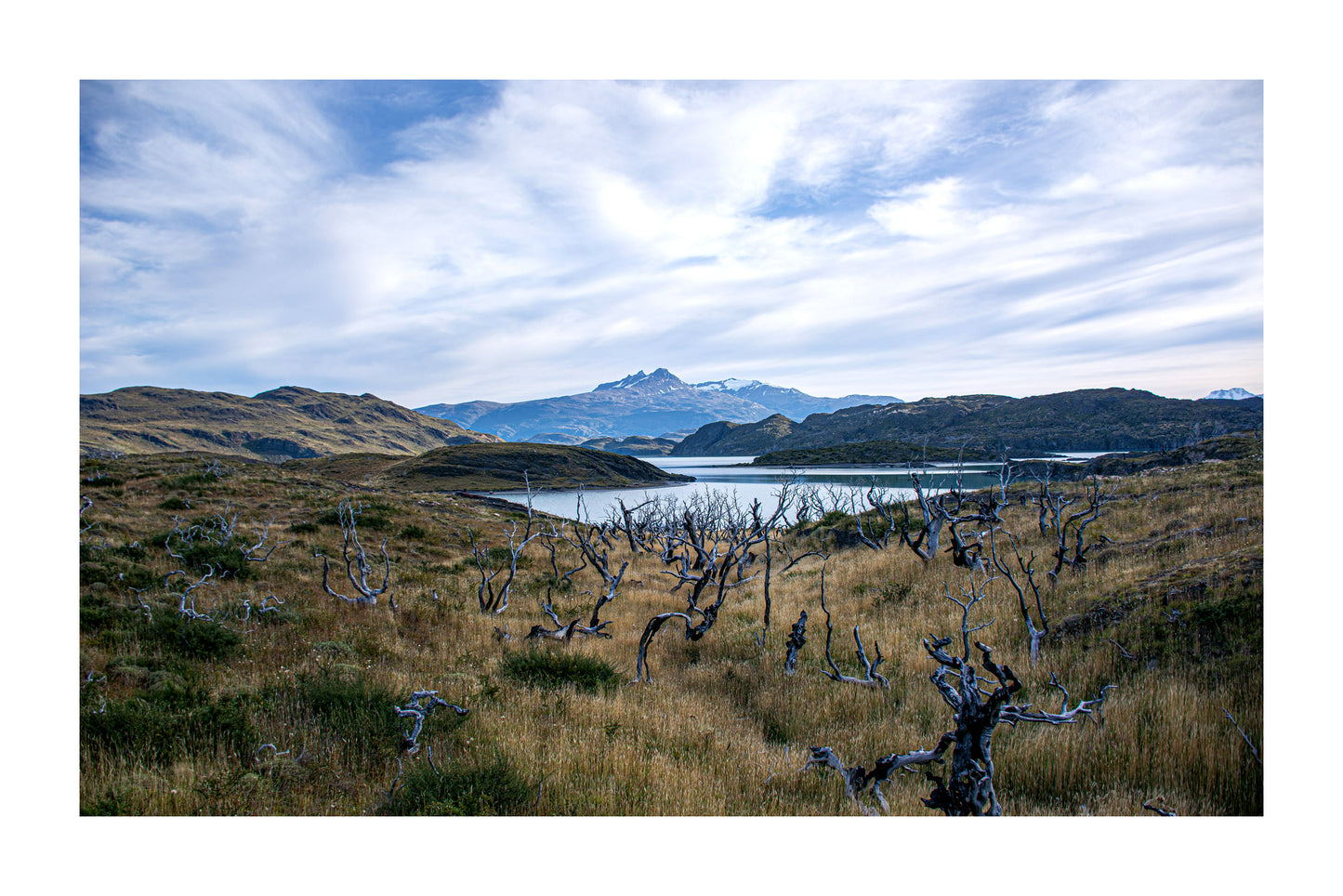 Parque Nacional Torres del Paine