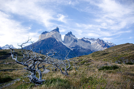 Camino a Los Cuernos