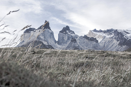 Parque Nacional Torres del Paine