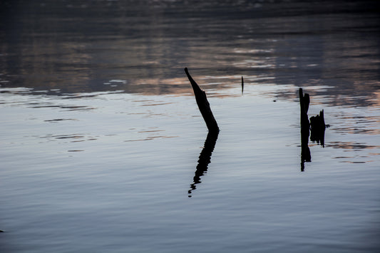 Reflejos del Lago