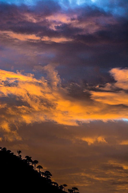 V. Atardecer en Malalcahuello