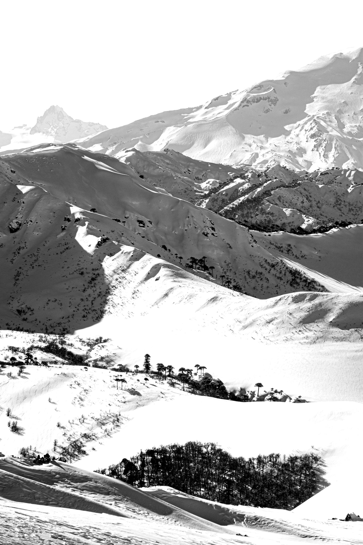 V. Araucania bajo Nieve