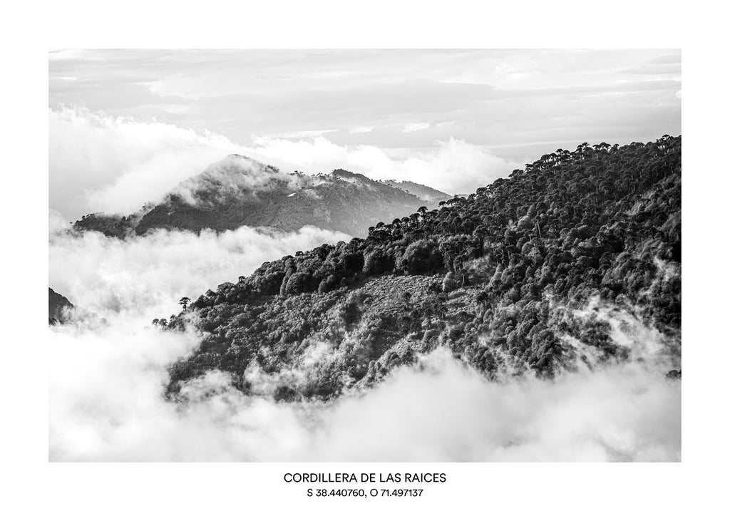AR - Cordillera de Las Raices 2