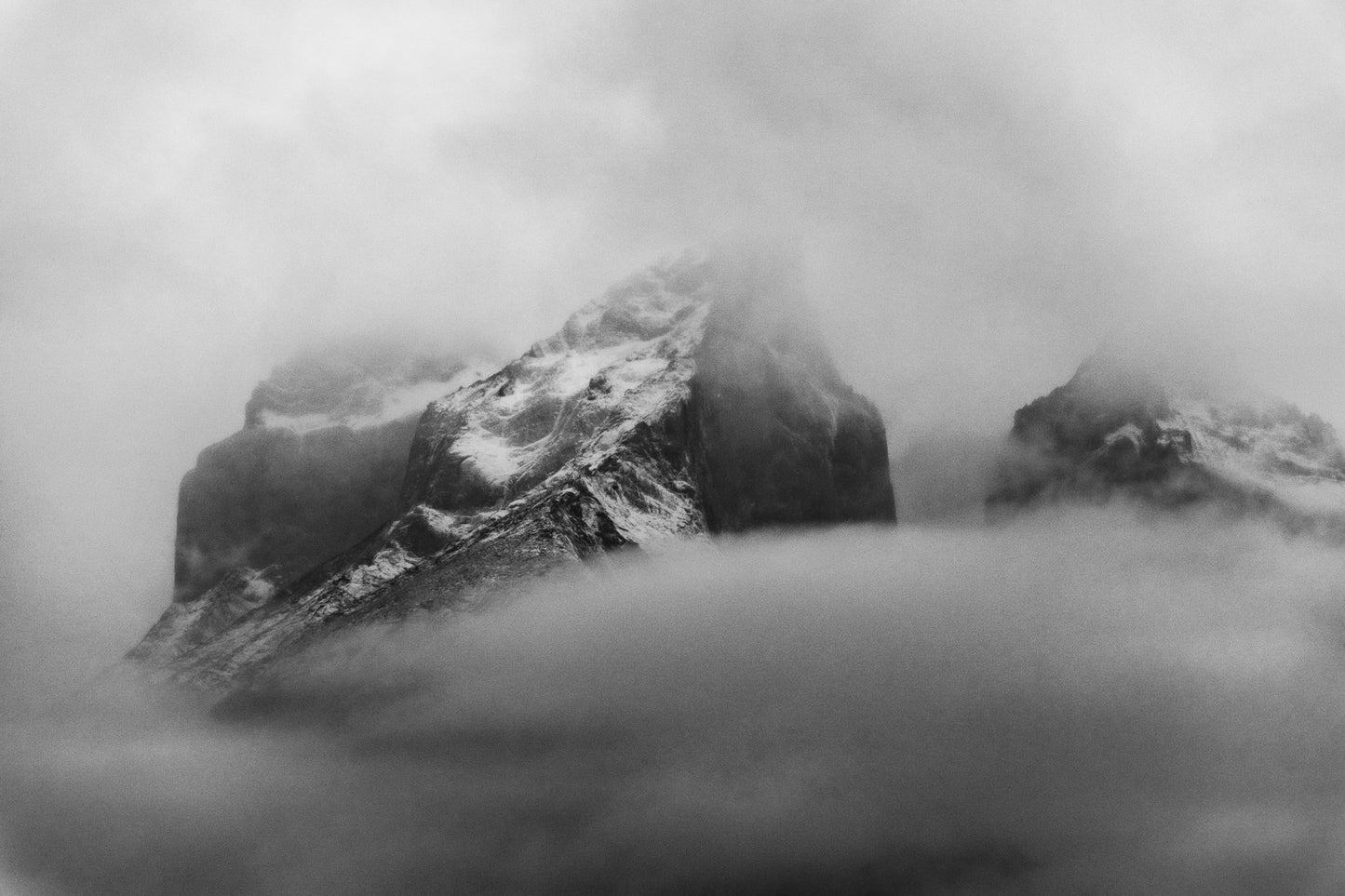 Cuernos en Blanco y Negro