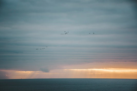 Vuelo al Atardecer