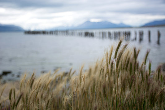 Costanera de Puerto Natales