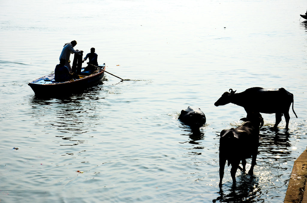 IND - Baño en el Ganges