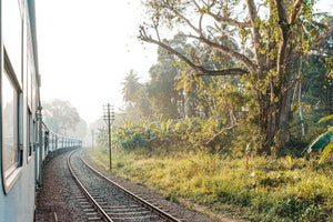 LKA - Trenes de Sri Lanka 3