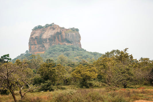 LKA - Sigiriya  Rock 2