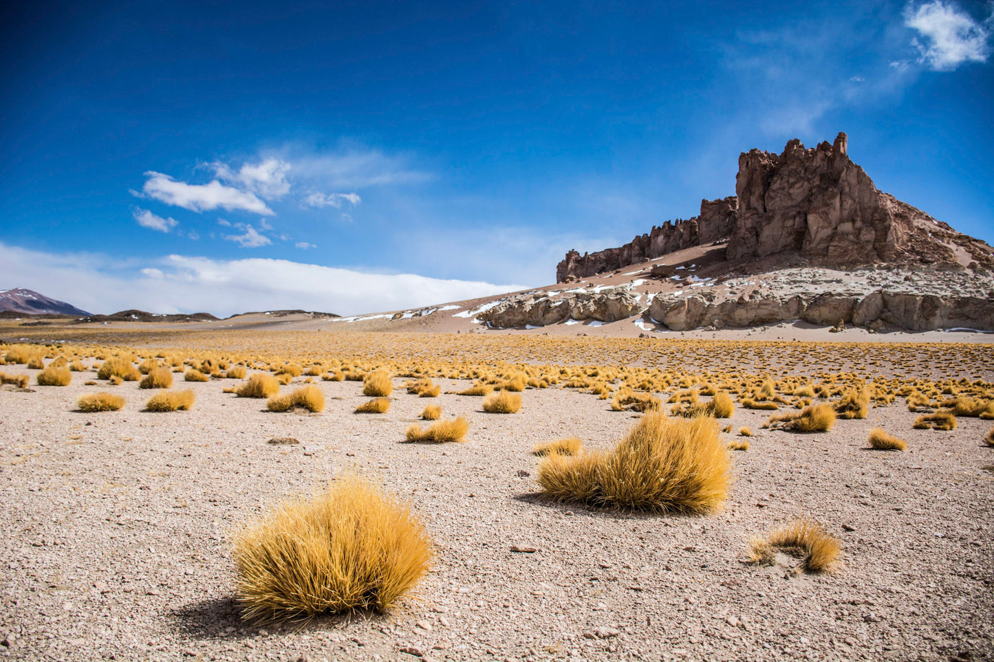 Salar de Tara