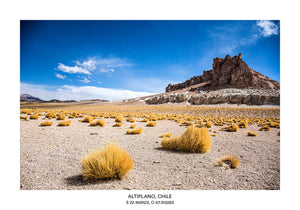 AT - Altiplano, Chile 2