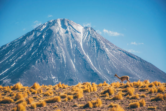 Corriendo Al Licancabur