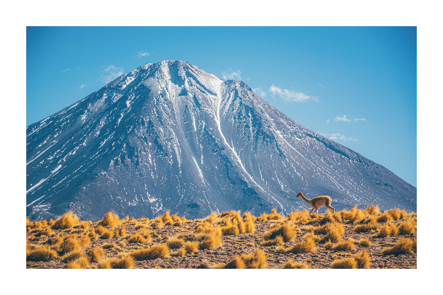 Corriendo Al Licancabur