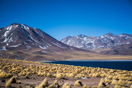 Lagunas Altiplanicas