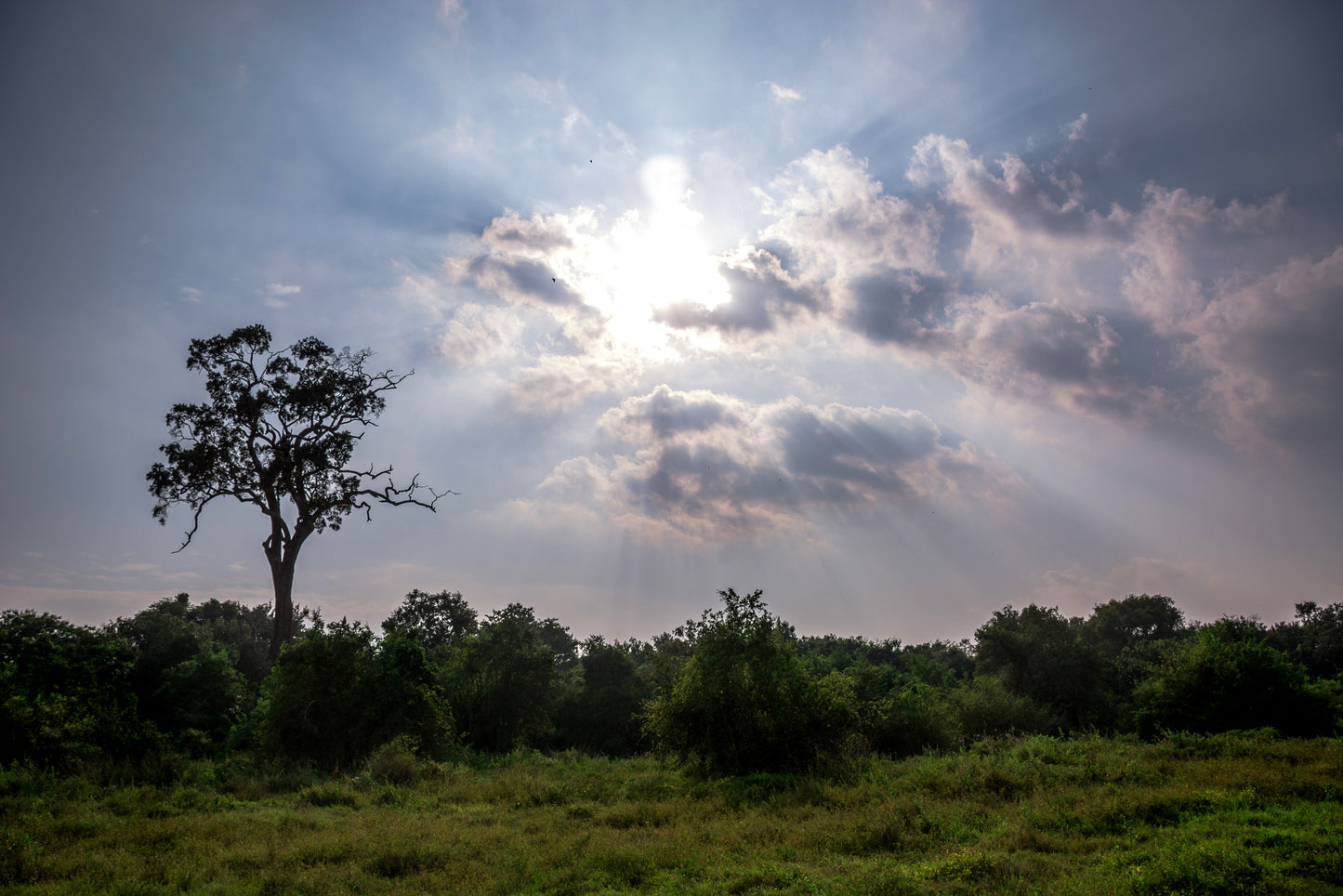 LKA - Atardecer en Kaudulla