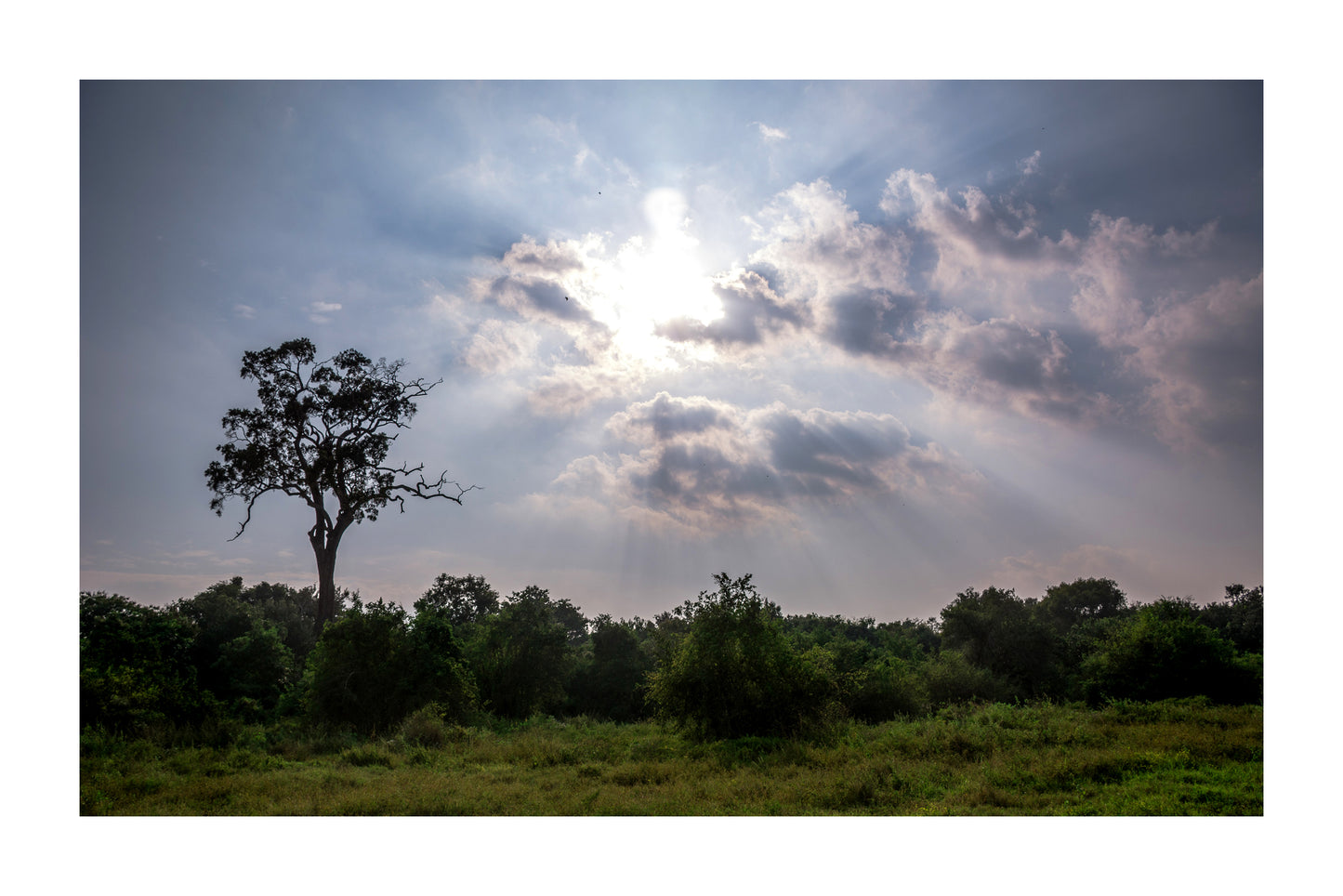 LKA - Atardecer en Kaudulla