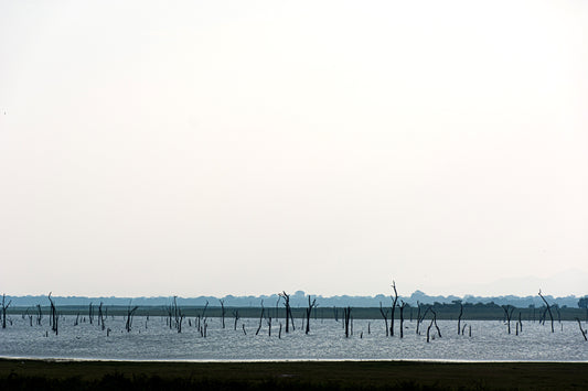 LKA - Kaudulla Lake