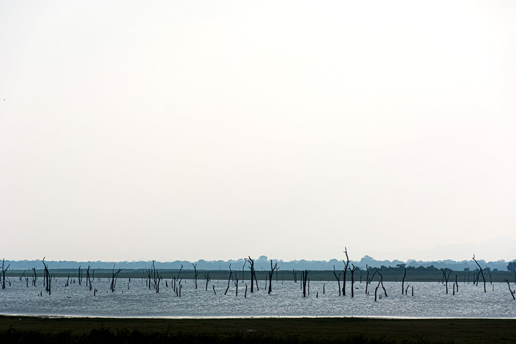 LKA - Kaudulla Lake