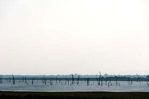 LKA - Kaudulla Lake