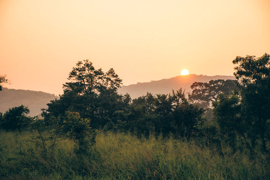 LKA - Kaudulla National Park