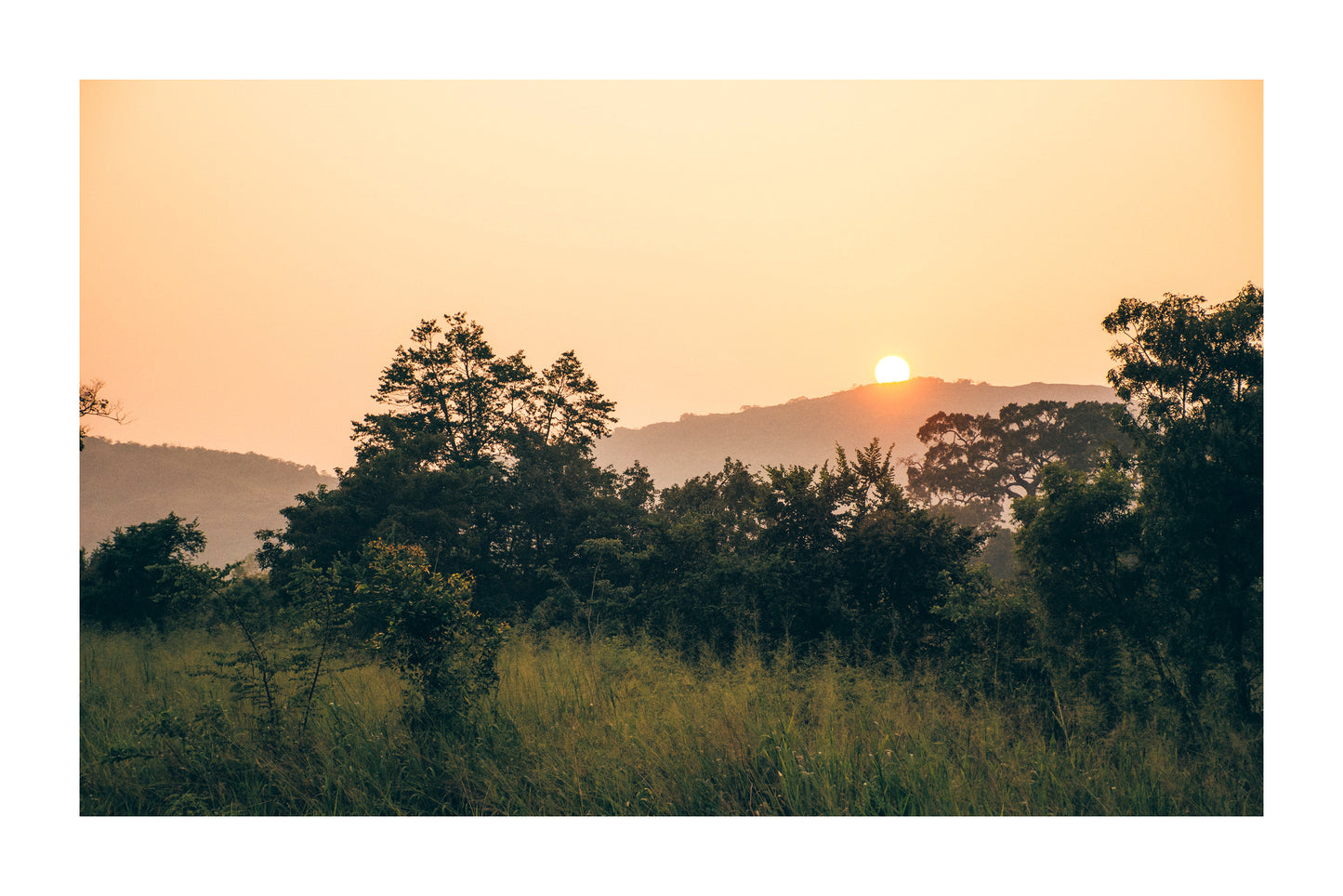 LKA - Kaudulla National Park